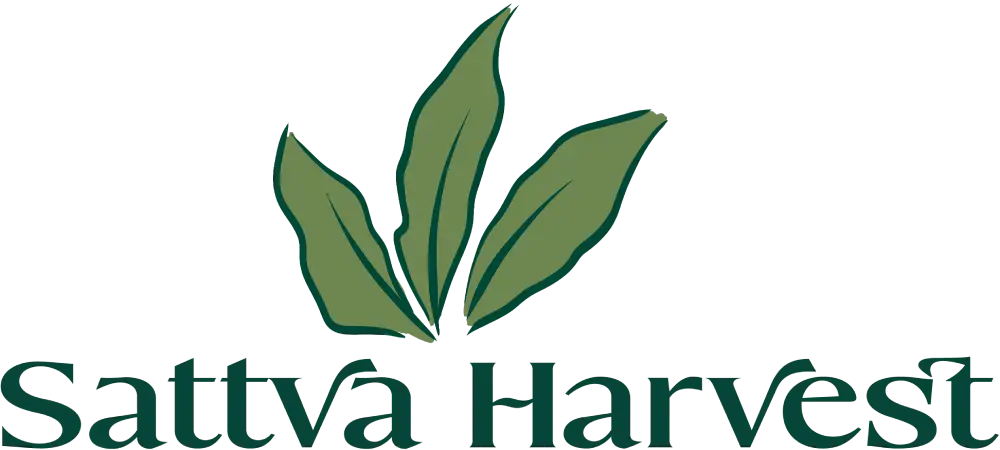 Sattva harvest